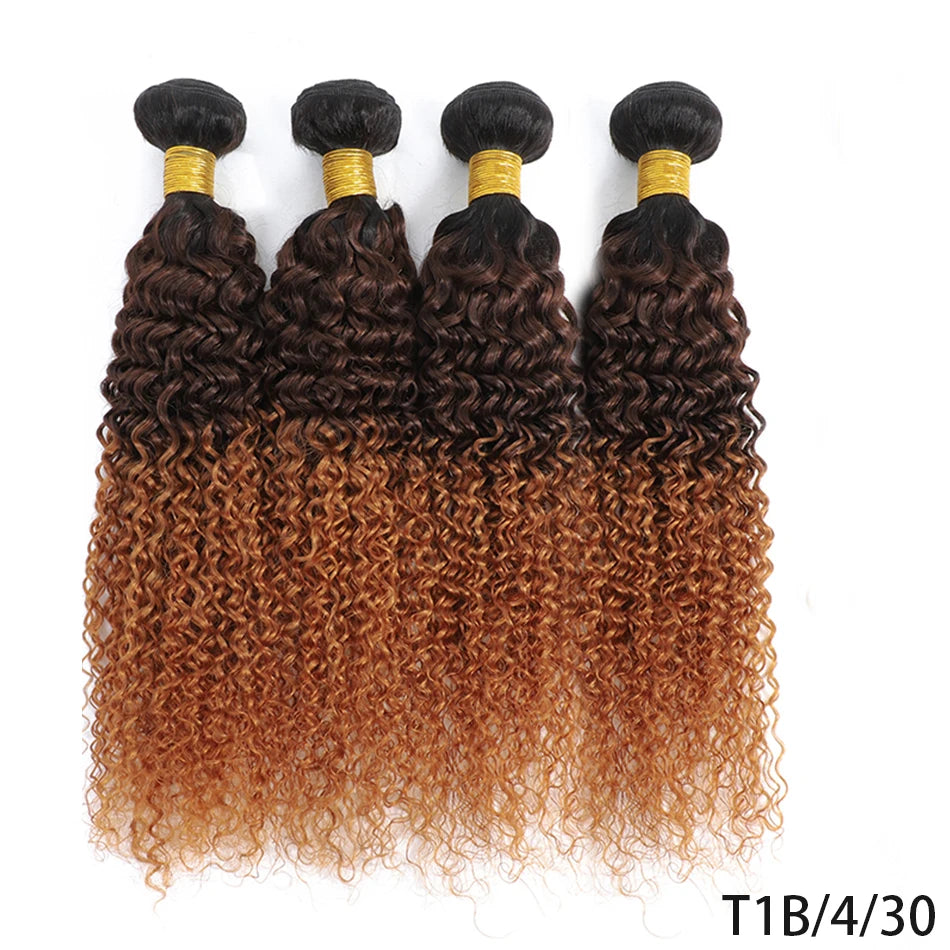 DreamDiana 9A Indian Kinky Curly 4 Bundles Curly Human Hair Bundles Original Human Hair Curly Promotion Hair Extension For Women