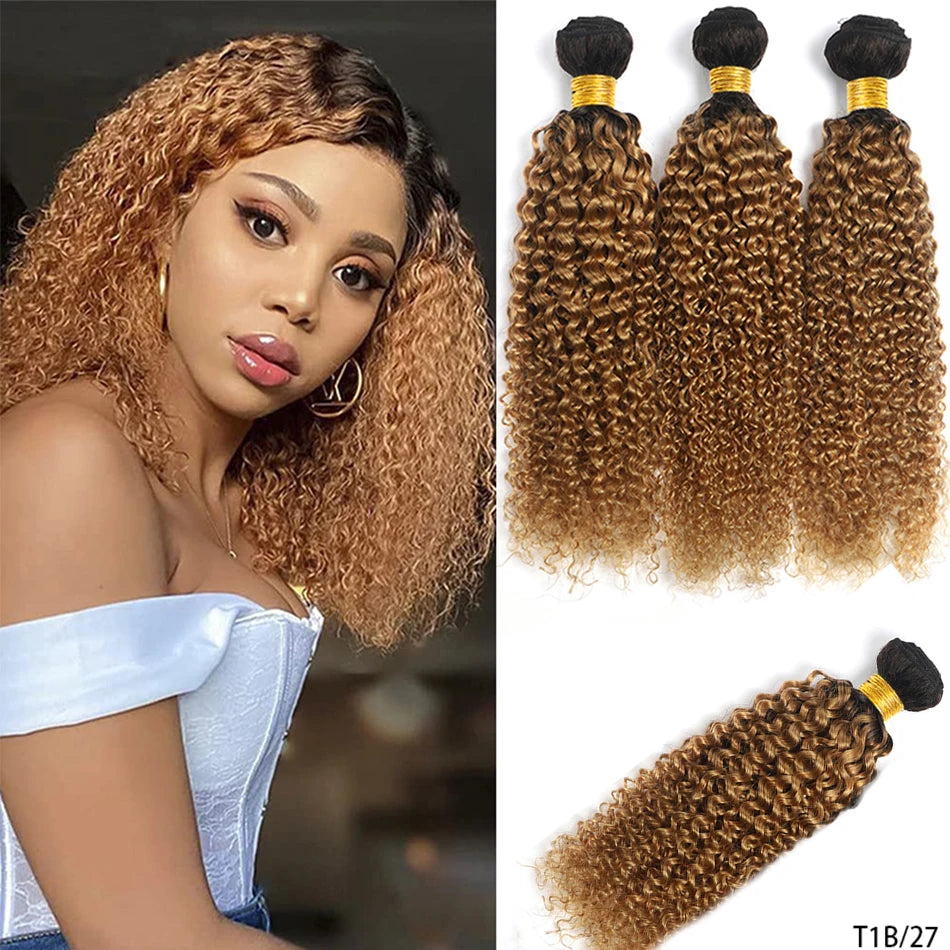 DreamDiana 9A Indian Kinky Curly 4 Bundles Curly Human Hair Bundles Original Human Hair Curly Promotion Hair Extension For Women