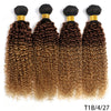 DreamDiana 9A Indian Kinky Curly 4 Bundles Curly Human Hair Bundles Original Human Hair Curly Promotion Hair Extension For Women