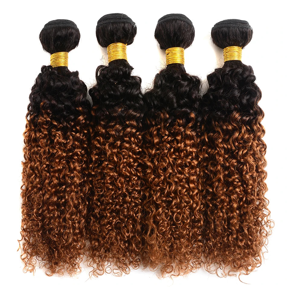 DreamDiana 9A Indian Kinky Curly 4 Bundles Curly Human Hair Bundles Original Human Hair Curly Promotion Hair Extension For Women